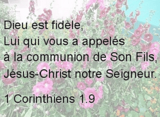 1 Corinthiens 1.9
