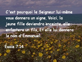 Esaïe 7.14.jpg