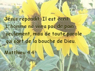 Matthieu 4.4.