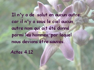 Actes 4.12