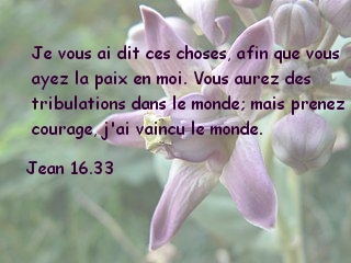 Jean 16.33