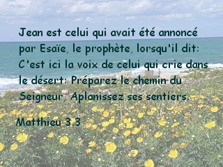 Matthieu 3.3