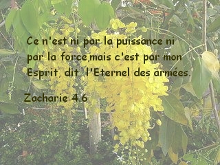 Zacharie 4.6