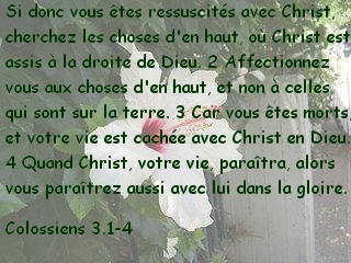 Colossiens 3.1-4