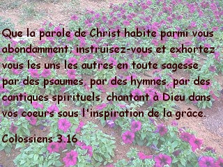 Colossiens 3.16