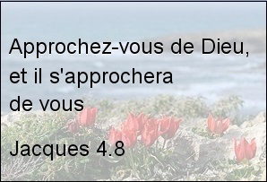 jacques-4-8.