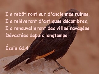 Ésaïe 61.4.