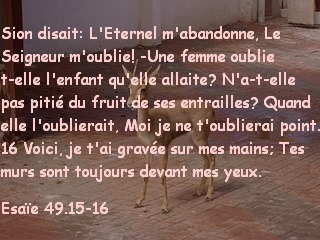 Esaïe 49.15-16