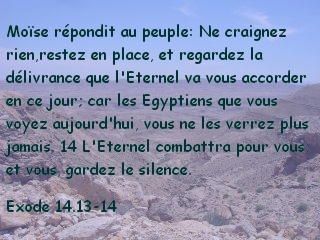 Exode 14.13-14