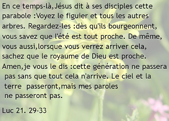 luc-21-29-33330x267