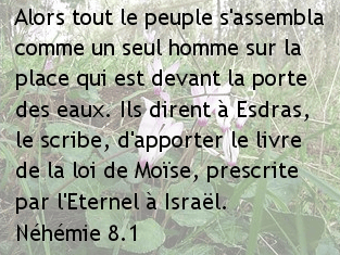 nehemie 8.1