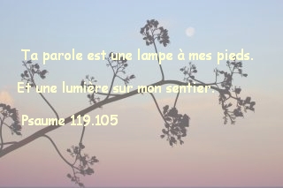 Psaume 119.105..