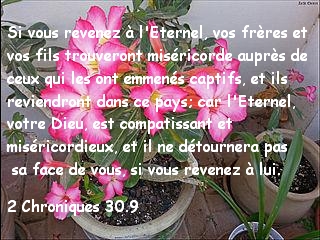 2 Chroniques 30.9