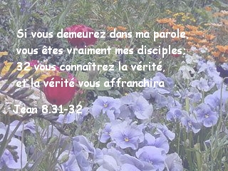 Jean 8.31-32