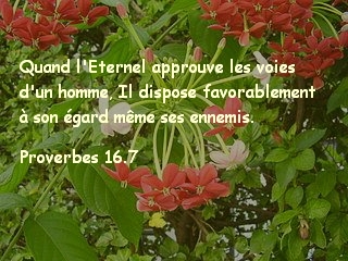 Proverbes 16.7